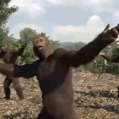 dancing ape